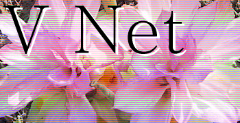 V Net(obN̓ER)